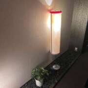 ヒメ日記 2024/12/15 00:30 投稿 はに♡奇跡の逸材・天使降臨♡ 即生専門店ゴッドパイ