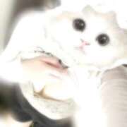 ヒメ日記 2025/11/04 00:54 投稿 はに♡奇跡の逸材・天使降臨♡ 即生専門店ゴッドパイ