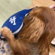 ヒメ日記 2025/03/07 18:16 投稿 れも レモンカフェ