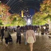 ヒメ日記 2025/03/29 21:01 投稿 れも レモンカフェ