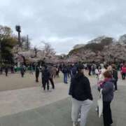 ヒメ日記 2025/04/04 18:05 投稿 れも レモンカフェ