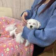 ヒメ日記 2025/04/11 18:26 投稿 れも レモンカフェ