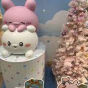 ヒメ日記 2025/04/14 21:00 投稿 れも レモンカフェ