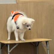 ヒメ日記 2025/07/10 18:22 投稿 れも レモンカフェ