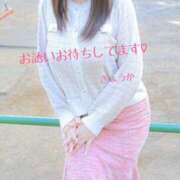 ヒメ日記 2025/02/27 11:30 投稿 きょうか 素人妻達☆マイふぇらレディー