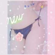 きょうか 夕方まで💗 素人妻達☆マイふぇらレディー