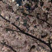 ヒメ日記 2026/03/31 11:28 投稿 えみり 素人妻達☆マイふぇらレディー