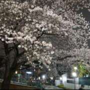 ヒメ日記 2025/04/07 13:46 投稿 れい 素人妻達☆マイふぇらレディー