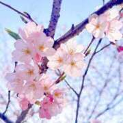 ヒメ日記 2025/04/06 17:27 投稿 ヒヨリ 人妻生レンタル