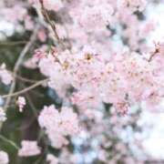 ヒメ日記 2025/04/12 14:10 投稿 ヒヨリ 人妻生レンタル