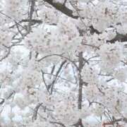 ヒメ日記 2025/04/20 09:50 投稿 ヒヨリ 人妻生レンタル