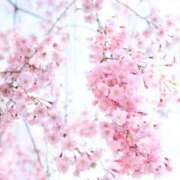 ヒメ日記 2025/04/27 22:30 投稿 ヒヨリ 人妻生レンタル