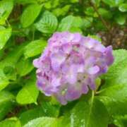 ヒメ日記 2025/06/08 17:50 投稿 ヒヨリ 人妻生レンタル