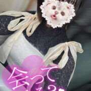 ヒメ日記 2024/12/12 22:23 投稿 あみな ふわふわコレクション