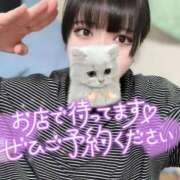 ヒメ日記 2025/05/06 00:34 投稿 あみな ふわふわコレクション