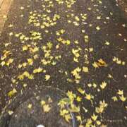 ヒメ日記 2024/12/14 11:56 投稿 しずく 制服向上委員会