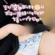 ヒメ日記 2025/08/11 09:50 投稿 ふう ダイスキ