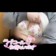 ヒメ日記 2026/02/12 21:24 投稿 ふう ダイスキ