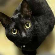 ヒメ日記 2025/01/11 02:45 投稿 ちはる アラビアンナイト