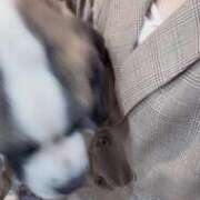 ヒメ日記 2025/03/04 19:30 投稿 ちはる アラビアンナイト