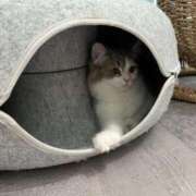 ヒメ日記 2025/08/01 21:16 投稿 ちはる アラビアンナイト