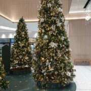 ヒメ日記 2025/12/17 18:03 投稿 すぐは 奥様特急三条店