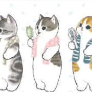 ヒメ日記 2025/04/29 18:39 投稿 ゆりか 松戸人妻 MAD熟女