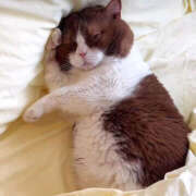 ヒメ日記 2025/05/19 20:09 投稿 ゆりか 松戸人妻 MAD熟女