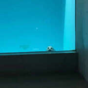 ヒメ日記 2025/08/27 08:39 投稿 ゆりか 松戸人妻 MAD熟女