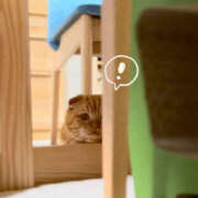 ヒメ日記 2025/10/05 22:29 投稿 ゆりか 松戸人妻 MAD熟女