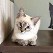 ヒメ日記 2026/01/27 17:39 投稿 ゆりか 松戸人妻 MAD熟女