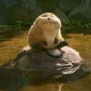 ヒメ日記 2026/02/05 17:59 投稿 ゆりか 松戸人妻 MAD熟女