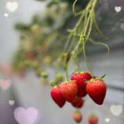 ヒメ日記 2026/03/28 16:17 投稿 ゆう 池袋あられ