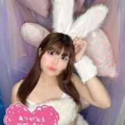 ヒメ日記 2025/11/14 21:03 投稿 うる 恋するバニー