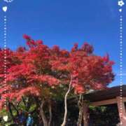 ヒメ日記 2025/11/06 13:08 投稿 らる 池袋あられ