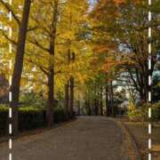 らる らるです💗 池袋あられ