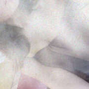 ヒメ日記 2025/05/13 17:44 投稿 みお DEEP BLACK