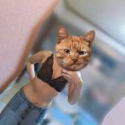 ヒメ日記 2025/05/07 08:43 投稿 ちなつ プラザ２