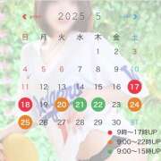ヒメ日記 2025/05/19 16:07 投稿 ちなつ プラザ２