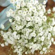 ヒメ日記 2025/07/28 23:55 投稿 ことね アイスキャンディーラブ