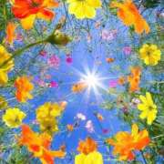 ヒメ日記 2026/02/24 20:53 投稿 ことね アイスキャンディーラブ