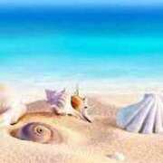 ヒメ日記 2025/09/06 20:30 投稿 まりえ アイスキャンディーラブ