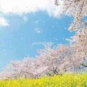 ヒメ日記 2026/06/05 12:13 投稿 まりえ アイスキャンディーラブ