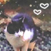 ヒメ日記 2025/04/09 14:08 投稿 えみり ダンシングおっぱいTEAM爆