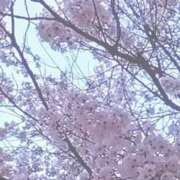 ヒメ日記 2025/04/16 15:07 投稿 えみり ダンシングおっぱいTEAM爆