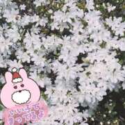 ヒメ日記 2025/05/09 16:07 投稿 えみり ダンシングおっぱいTEAM爆