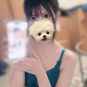 ヒメ日記 2024/12/11 17:13 投稿 えみり/看板候補！愛嬌MAX★ ハレンチ倶楽部　神戸店