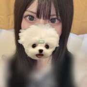 ヒメ日記 2024/12/20 18:01 投稿 えみり/看板候補！愛嬌MAX★ ハレンチ倶楽部　神戸店