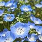 ヒメ日記 2025/08/19 14:35 投稿 べてい アイムシェイク