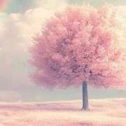 ヒメ日記 2025/10/08 16:50 投稿 べてい アイムシェイク